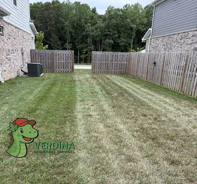 Lawn Mowing Maintenance Service In Fairview Tennessee