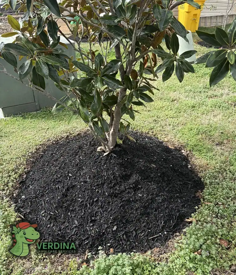 Mulch installation service in Fairview Tennessee