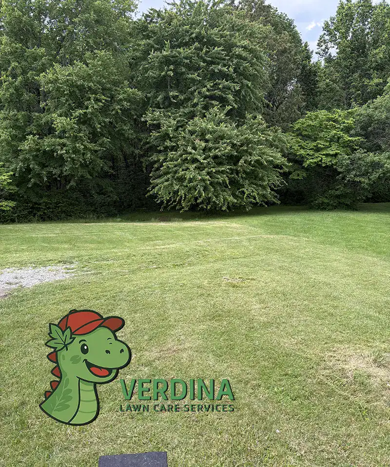 lawn aeration service in fairview tennessee