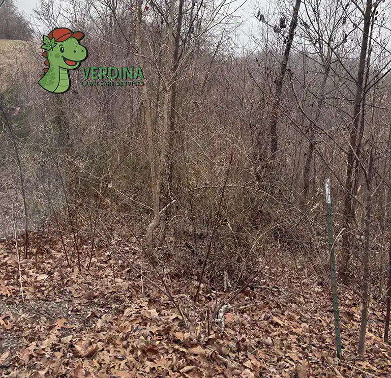 Leaf Removal Service in Nashville