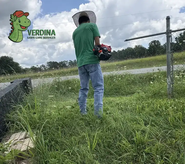 Lawn mowing service weed eating